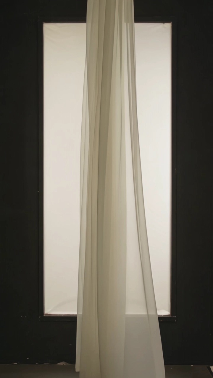 Film 05 — veil, backlit sheer